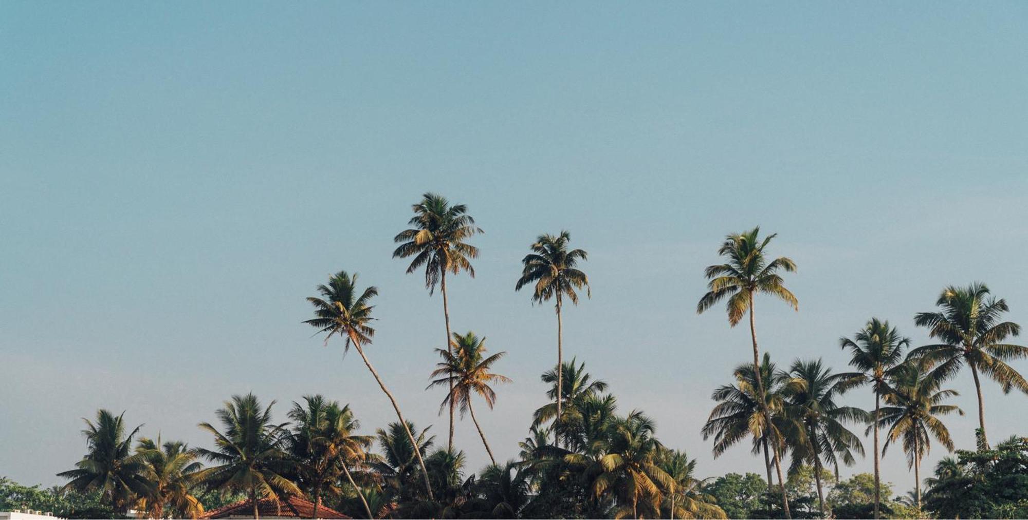 Bed and Breakfast Lucky'S Surf Camp Weligama Esterno foto